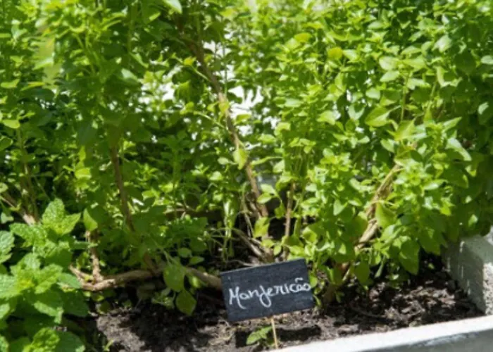 Porto KaetéHotel em Maceio